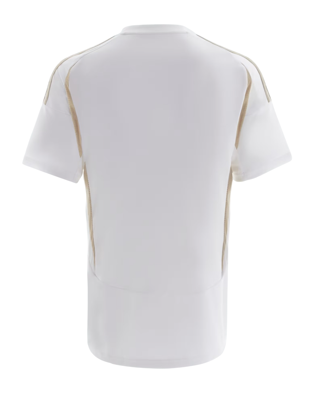 Al-Nassr FC 2024/25- 3º Equipamento