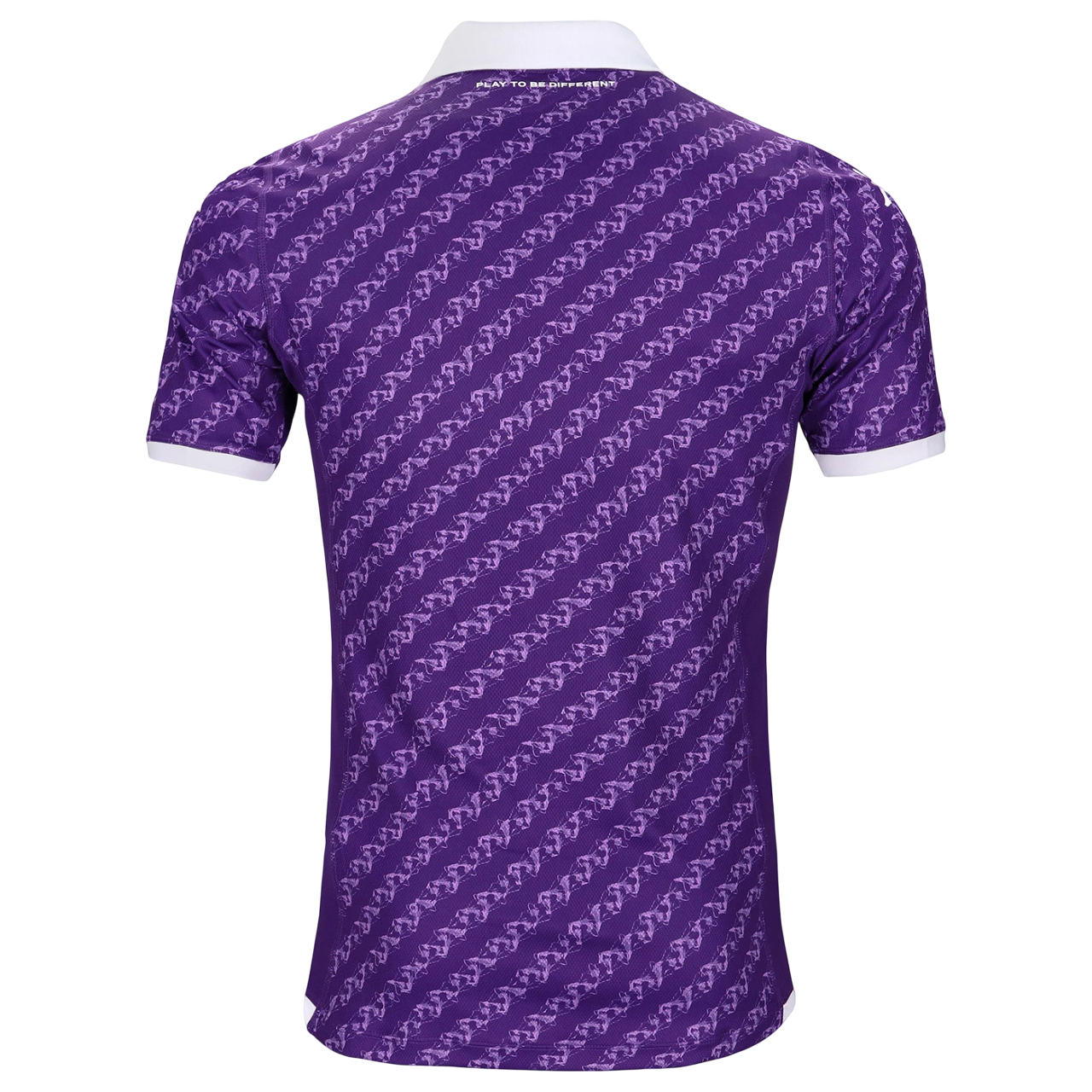 Fiorentina Principal 2023/24