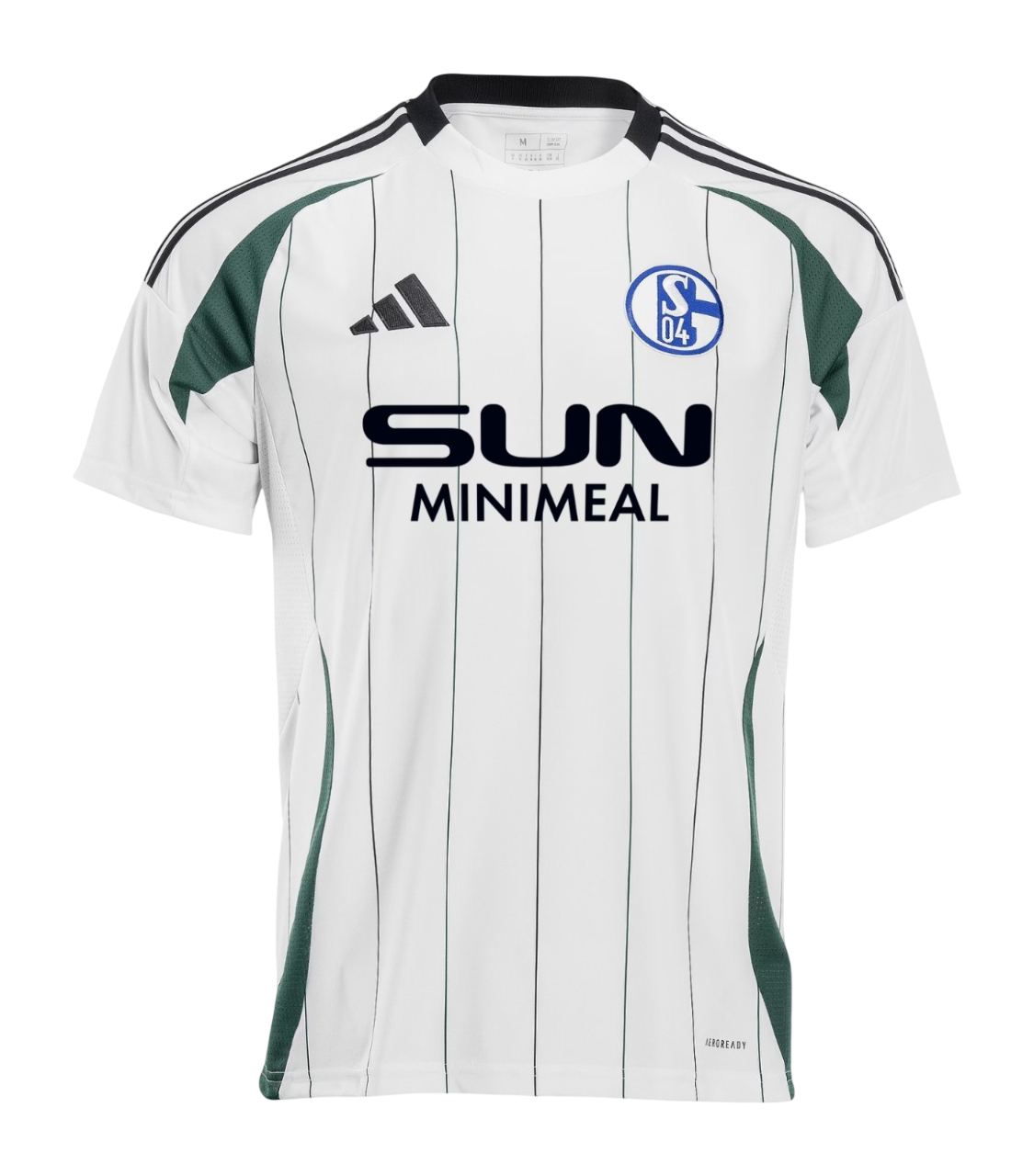 Schalke 04 2024/25- Alternativa