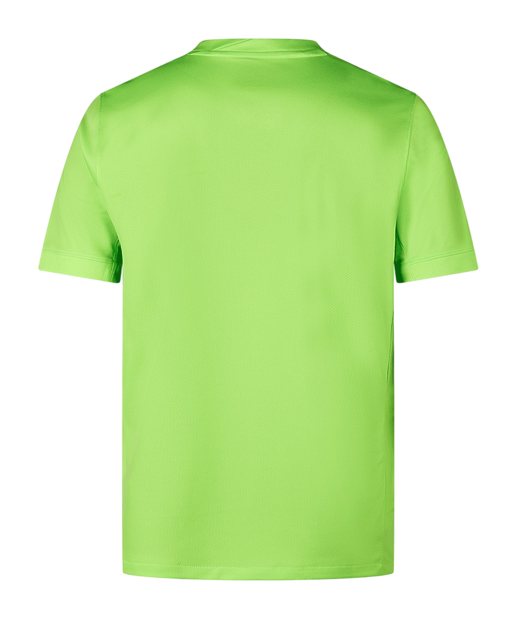 VfL Wolfsburg Principal 2024/25