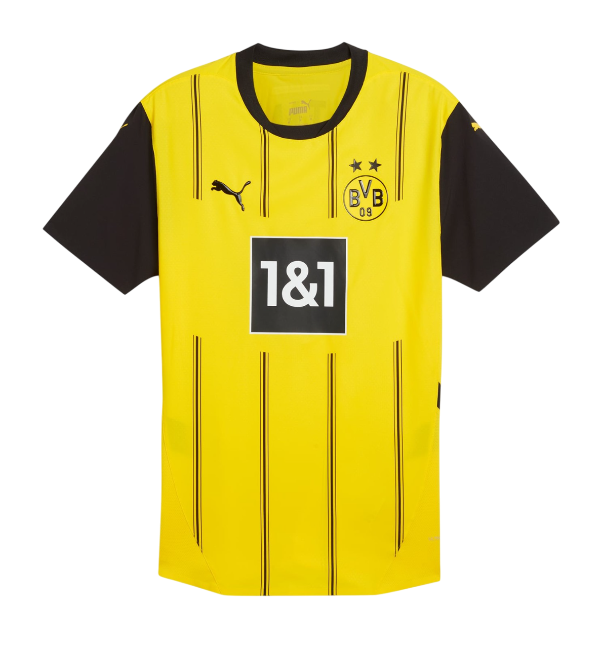 Borussia Dortmund Principal 2024/25