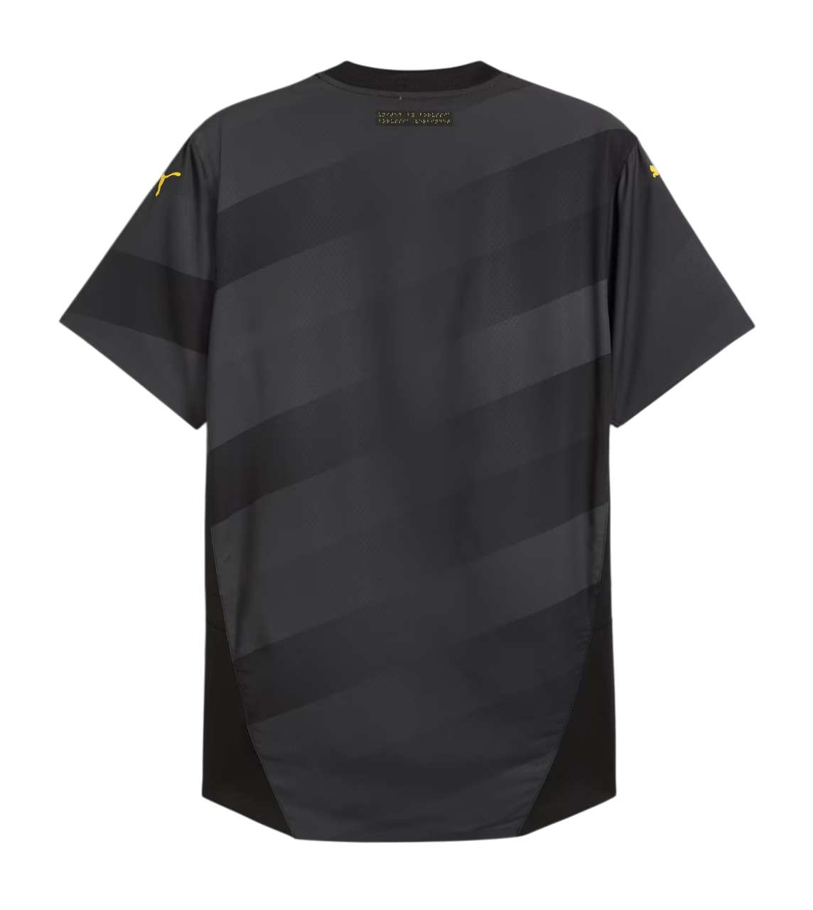 Borussia Dortmund 2024/25- Alternativa