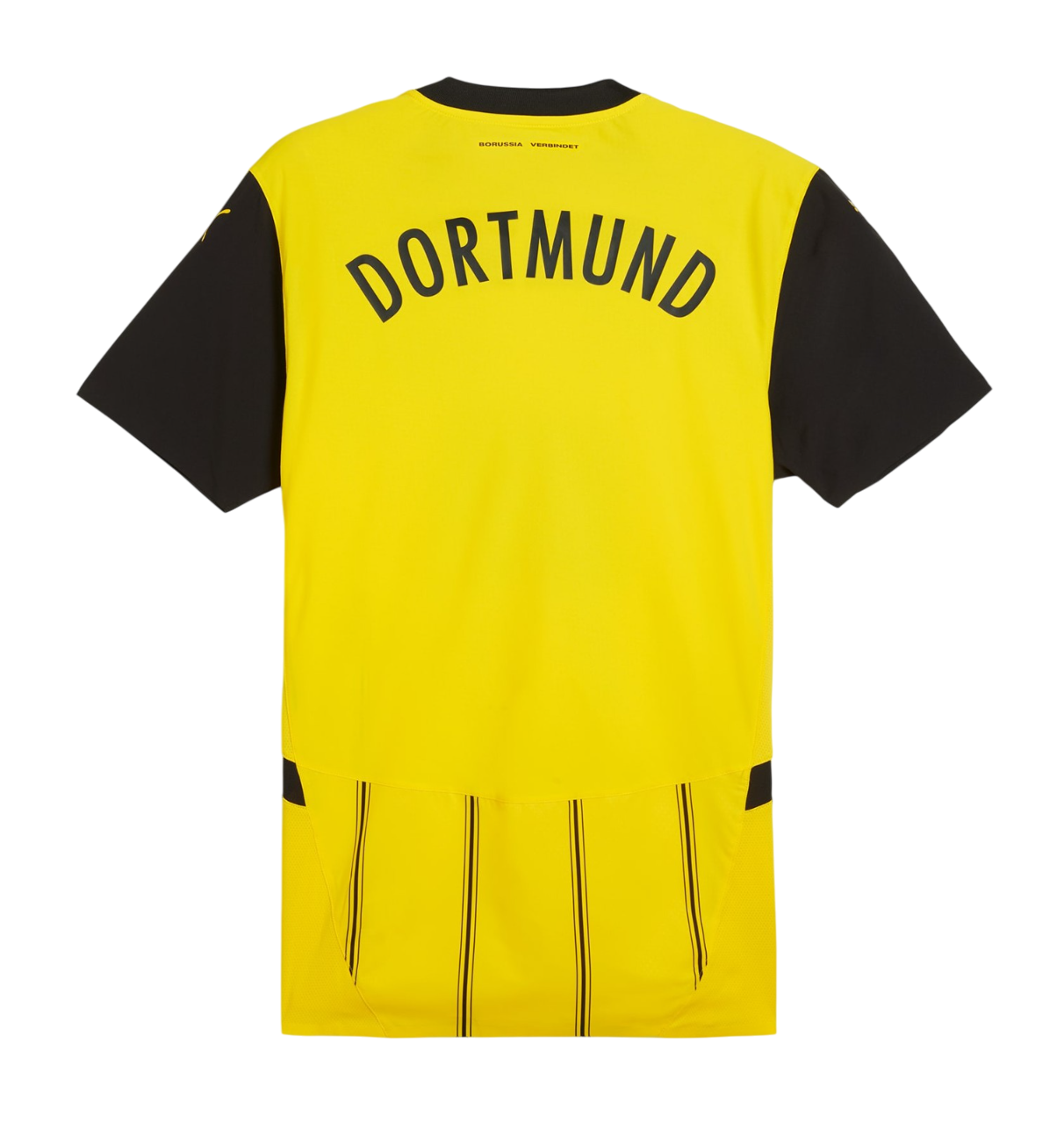 Borussia Dortmund Principal 2024/25