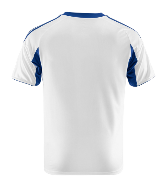 Schalke 04 2025/26- Alternativa