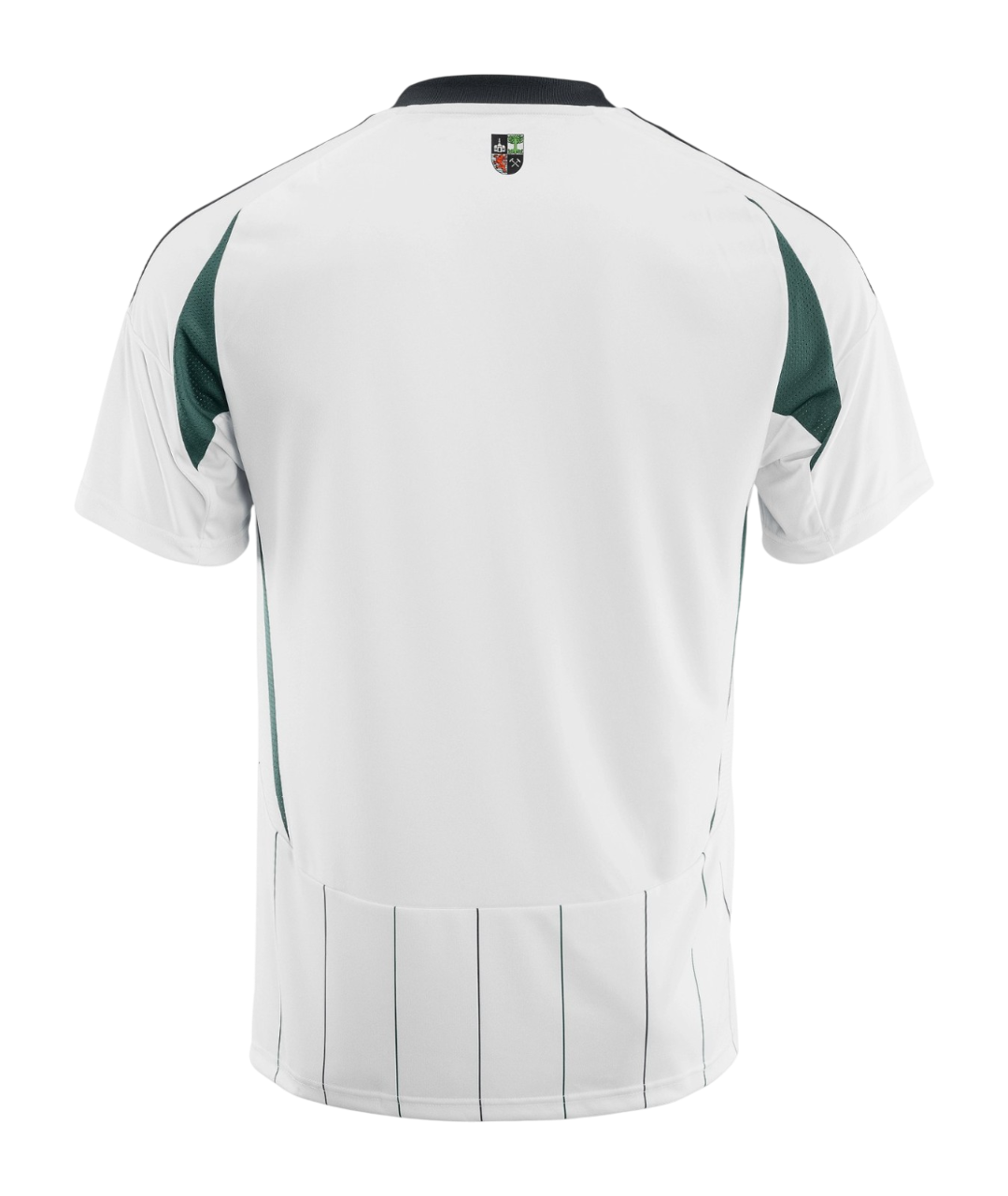 Schalke 04 2024/25- Alternativa