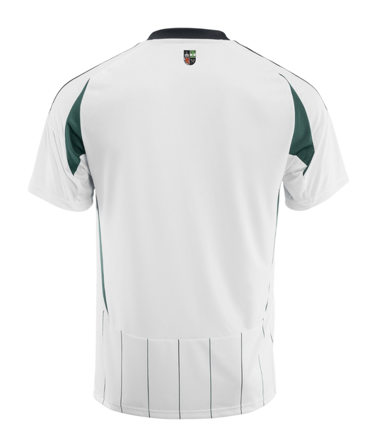 Schalke 04 2024/25- Alternativa