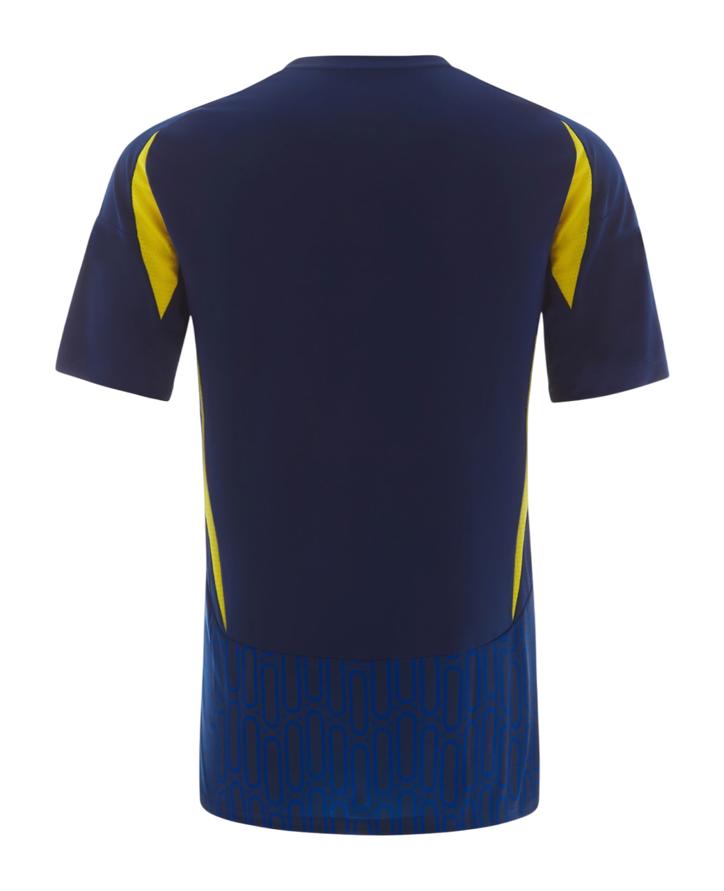 Al-Nassr FC 2024/25- Alternativa