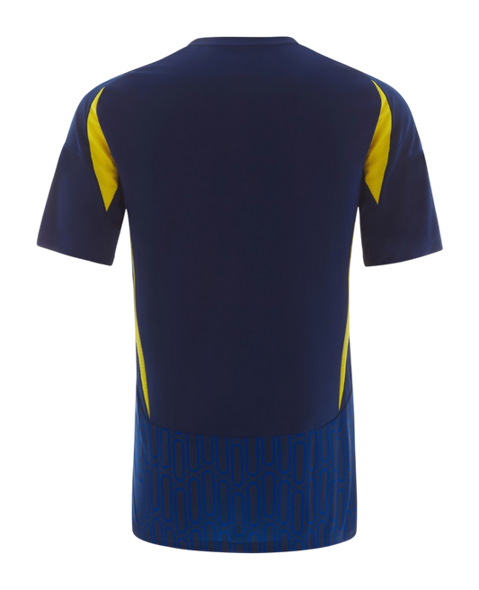 Al-Nassr FC 2024/25- Alternativa