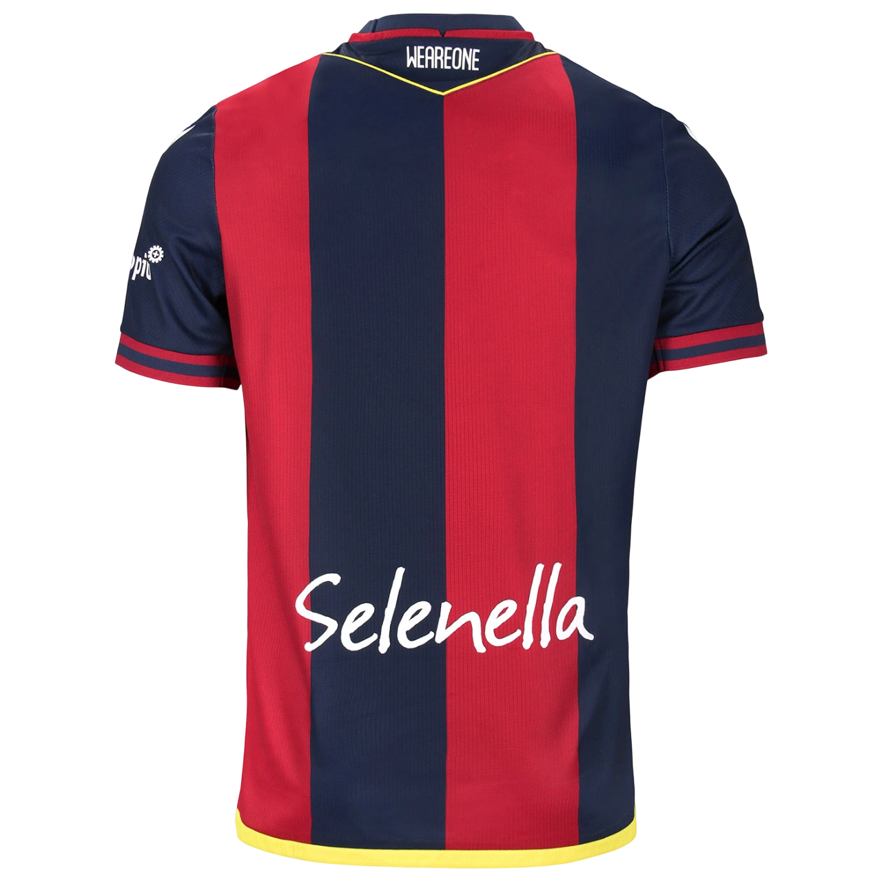 Bologna Principal 2024/25