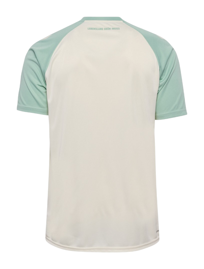 Werder Bremen 2024/25- Alternativa