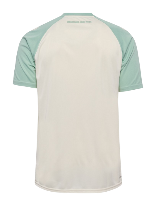 Werder Bremen 2024/25- Alternativa
