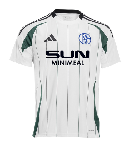 Schalke 04 2024/25- Alternativa