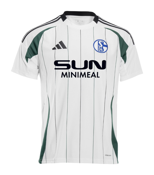 Schalke 04 2024/25- Alternativa