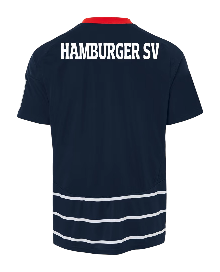 Hamburger SV 2024/25- Alternativa