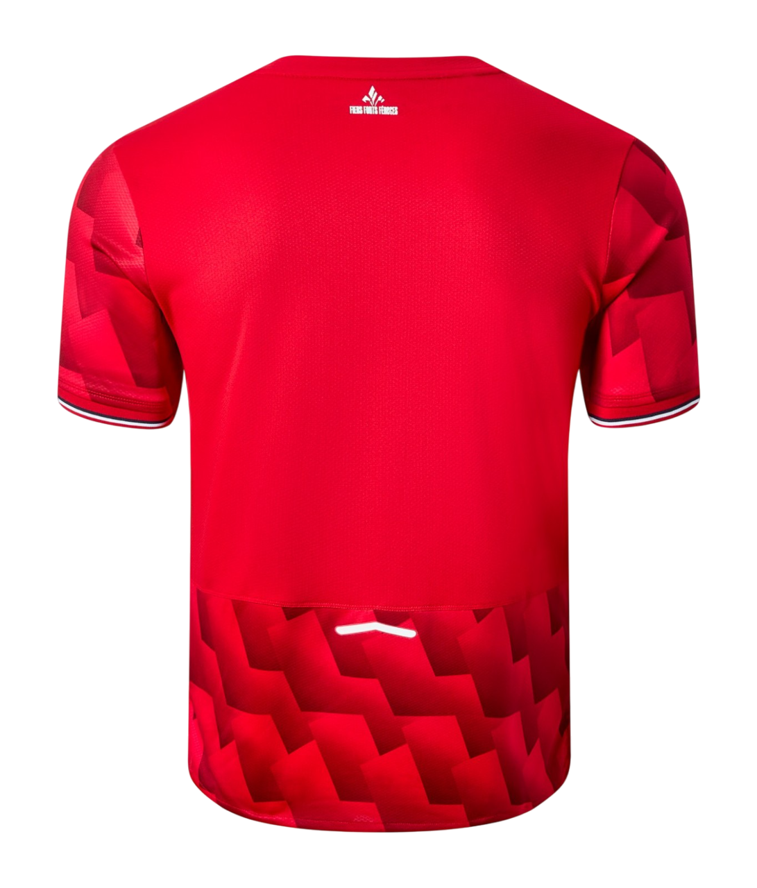 Lille LOSC Principal 2025/26