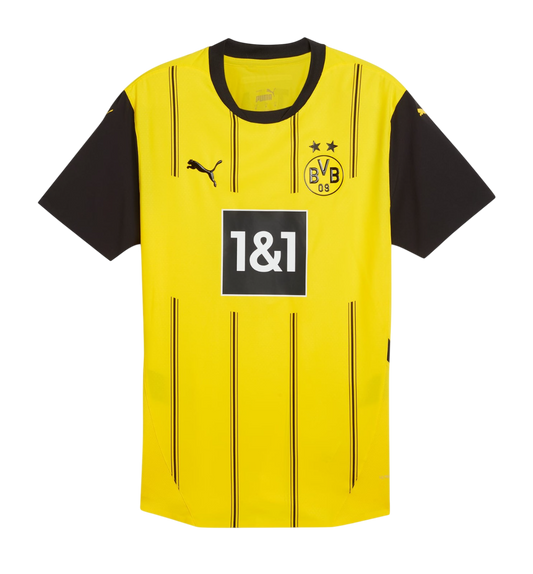 Borussia Dortmund Principal 2024/25
