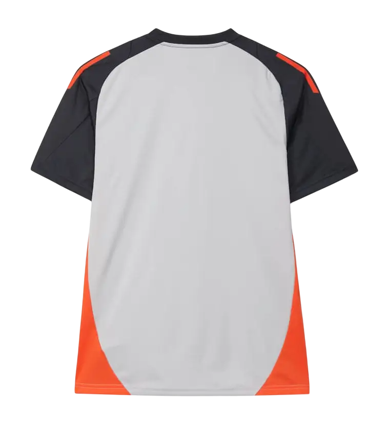 Benfica 2024/25 -Treino Cinza