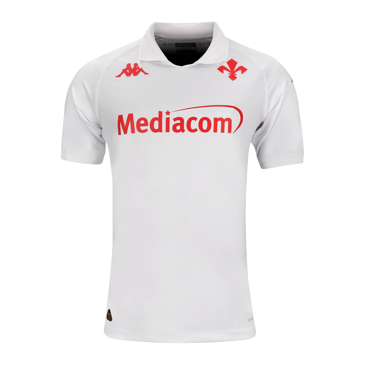 Fiorentina 2024/25- Alternativa