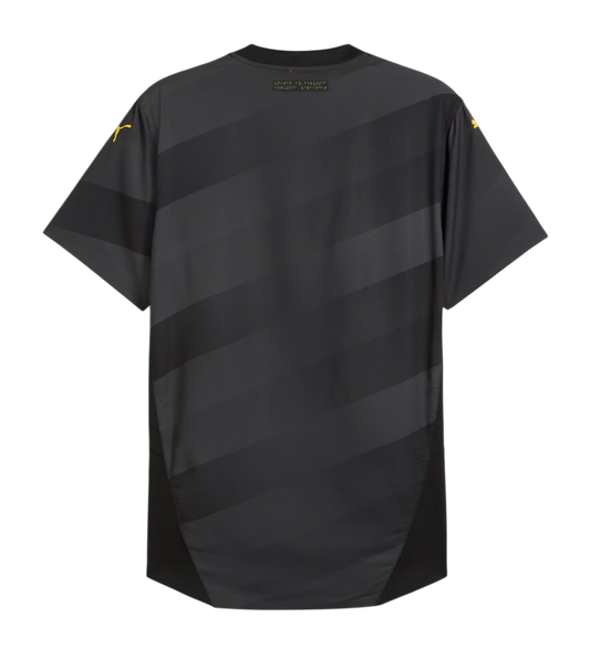 Borussia Dortmund 2024/25- Alternativa
