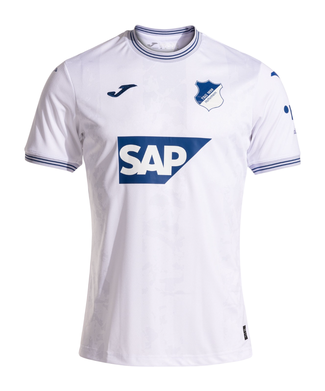 Hoffenheim 2024/25- Alternativa