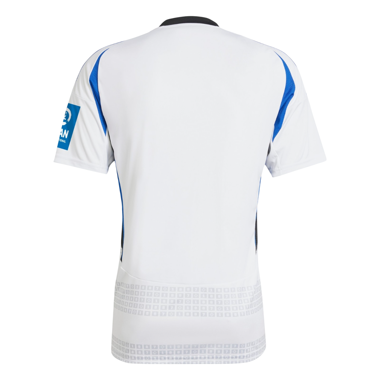 Hamburger SV Principal 2024/25