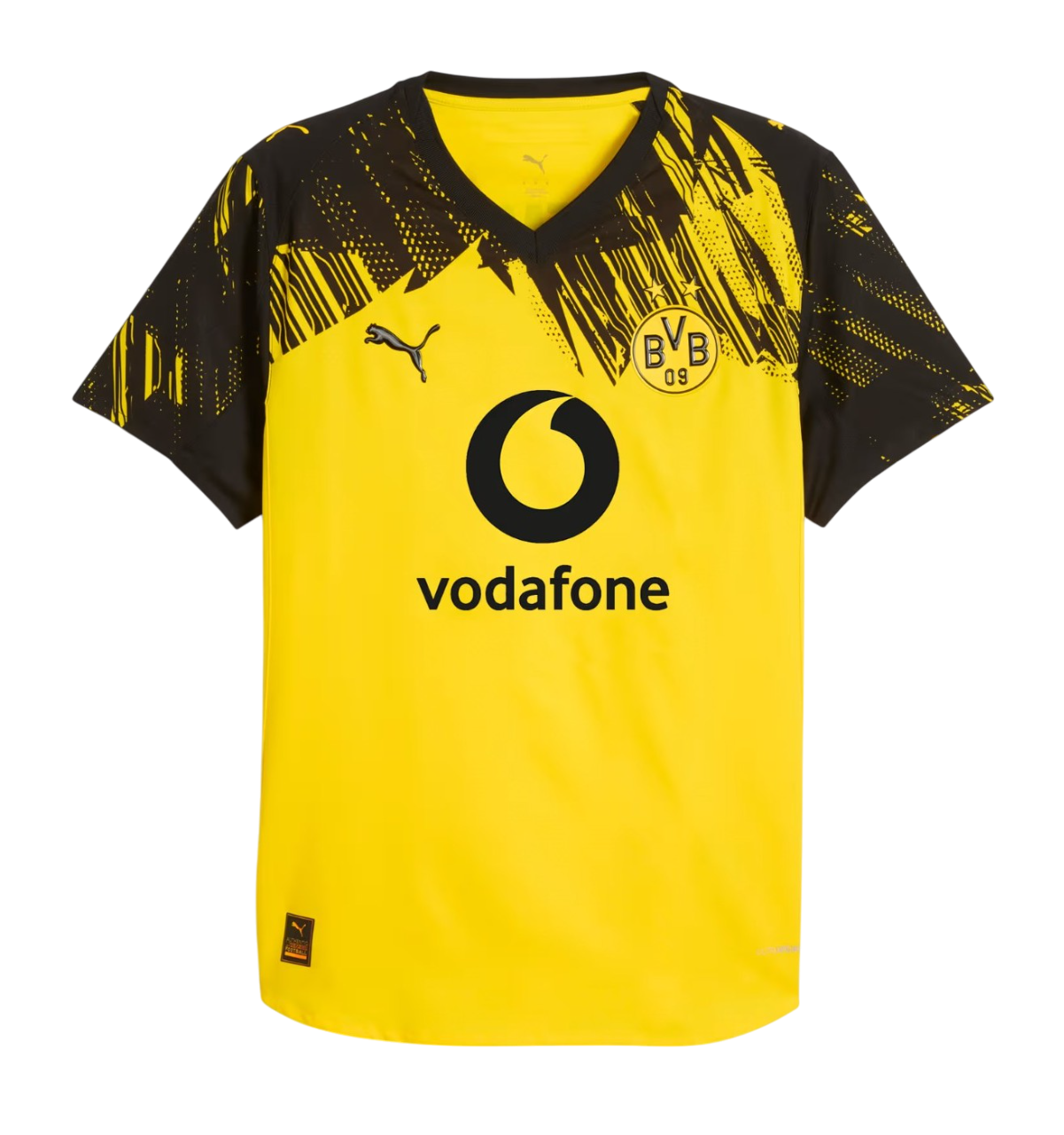 Borussia Dortmund Principal 2025/26